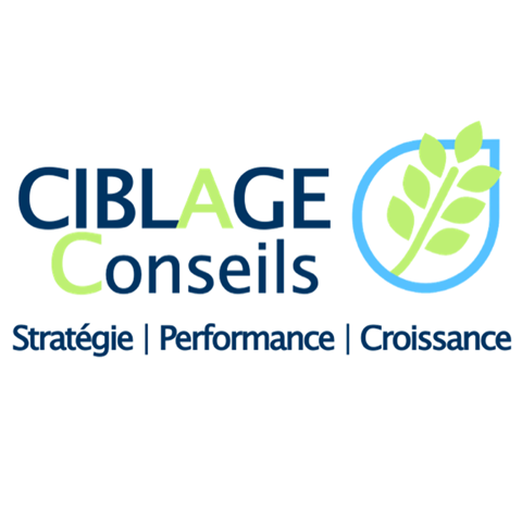 Logo CIBLAGE CONSEILS