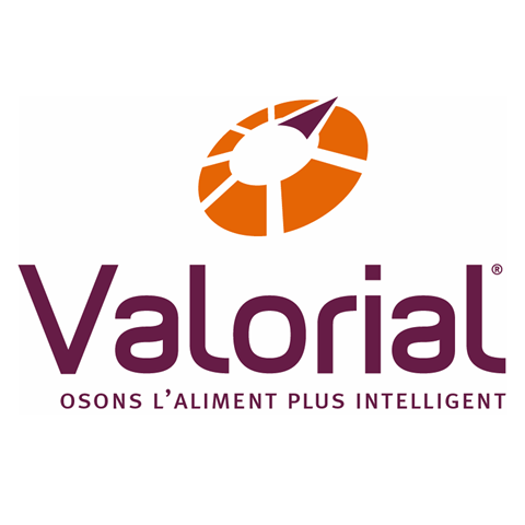 Logo VALORIAL